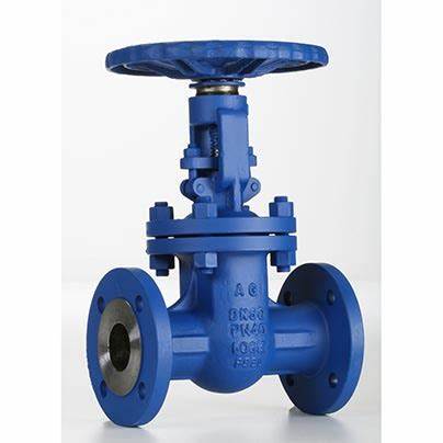 供應(yīng)意大利Valvosider閥門、過濾器